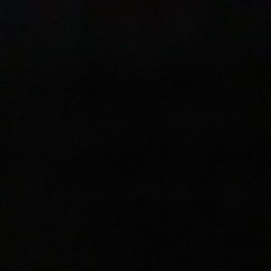 Meet your Posher, Rodney